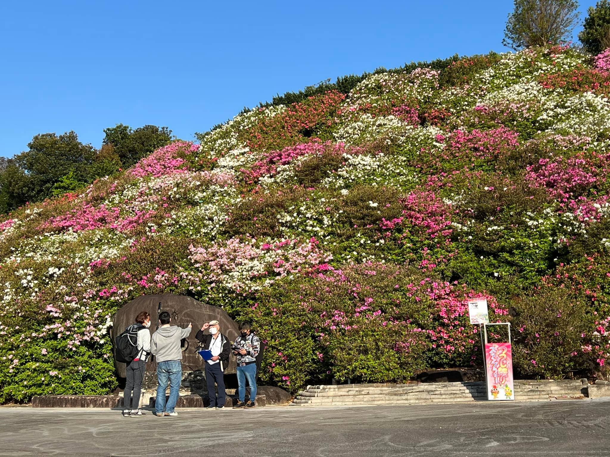 沖縄県東村つつじ祭り2022